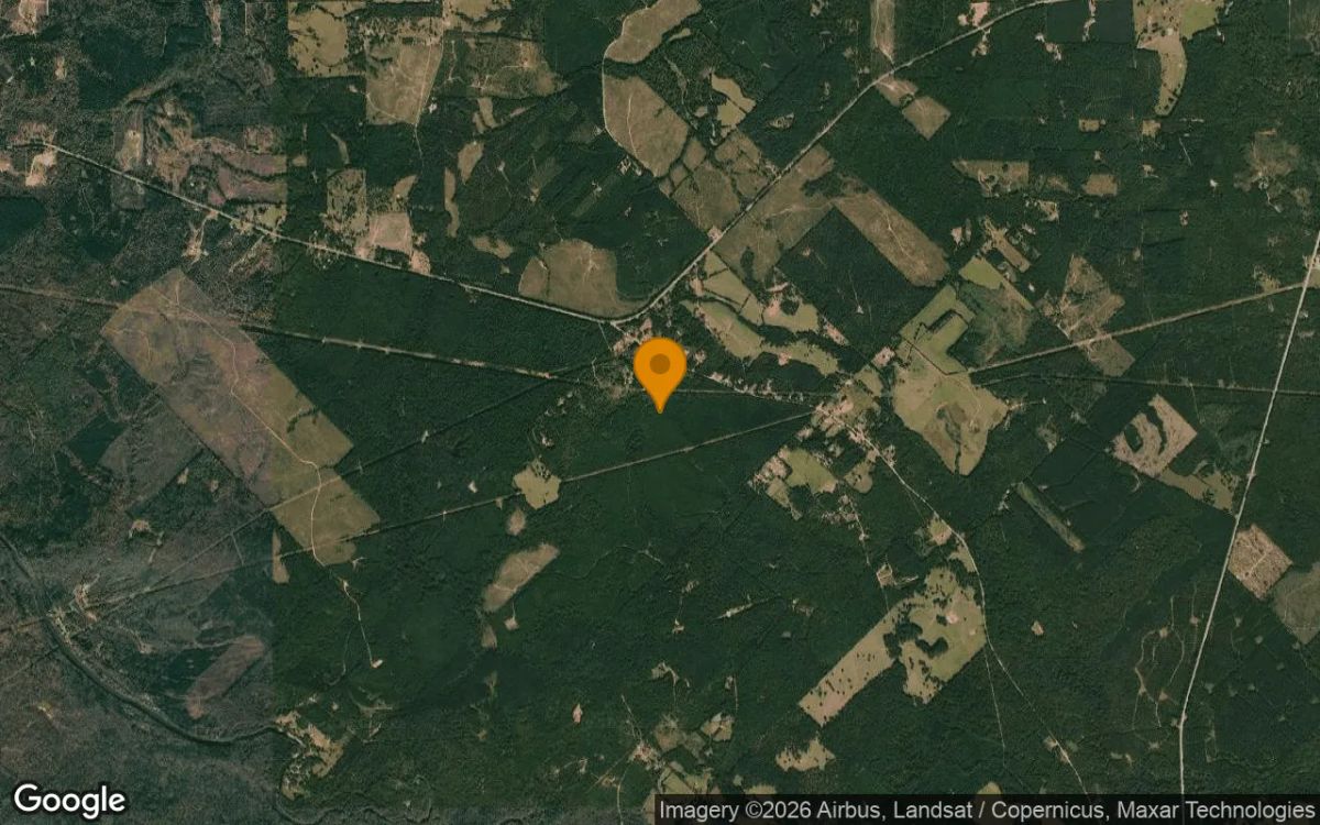 34.91 Acres in Jefferson - Marion County, TX - Image 3