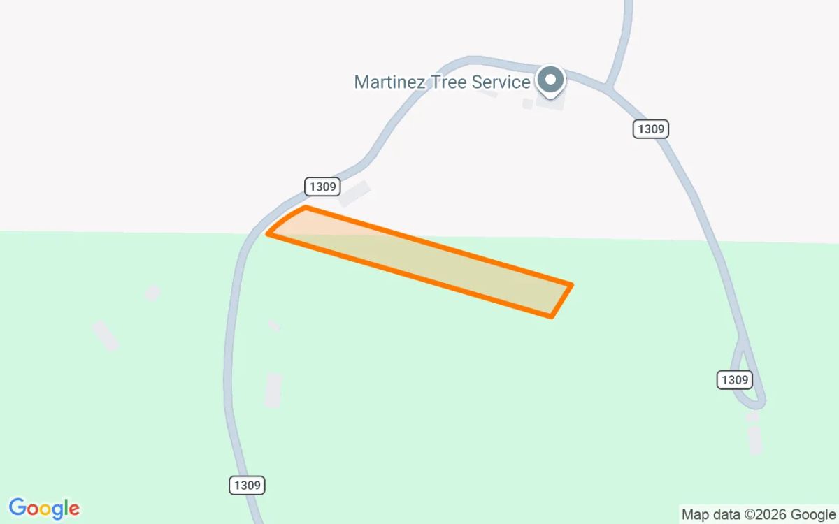 1.5 Acres in Pittsburg - Camp County, TX - Image 2