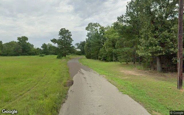 Decorative background for 1.5 Acres in Pittsburg - Camp County, TX image 5