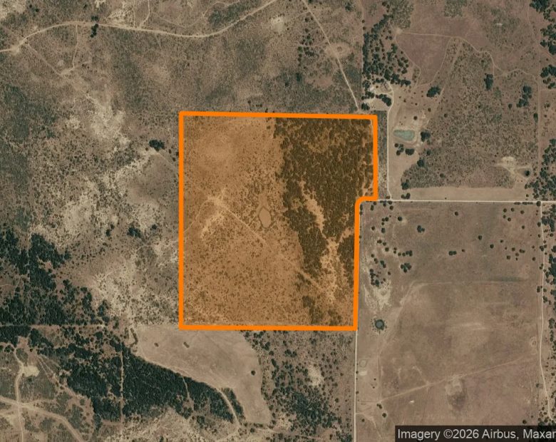 124.85 Acres in Graham - Young County, TX in Young County, TX