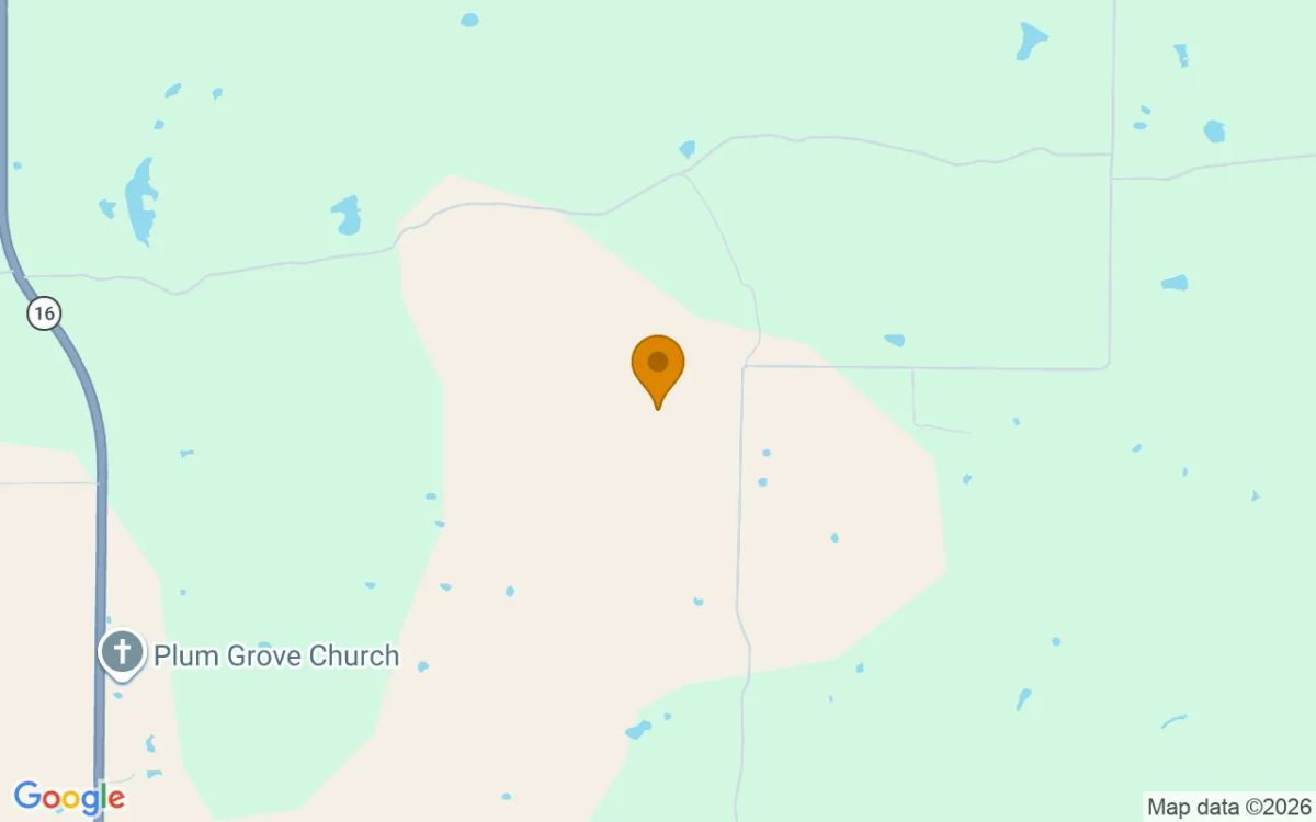 124.85 Acres in Graham - Young County, TX - Image 4