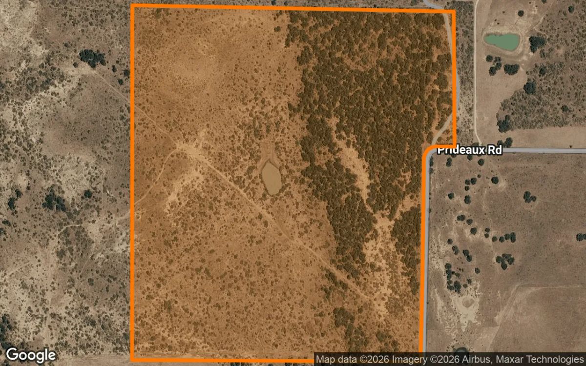 Decorative background for 124.85 Acres in Graham - Young County, TX image 6