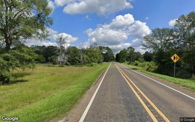 Decorative background for 1.5 Acres in Buna - Jasper County, TX image 6