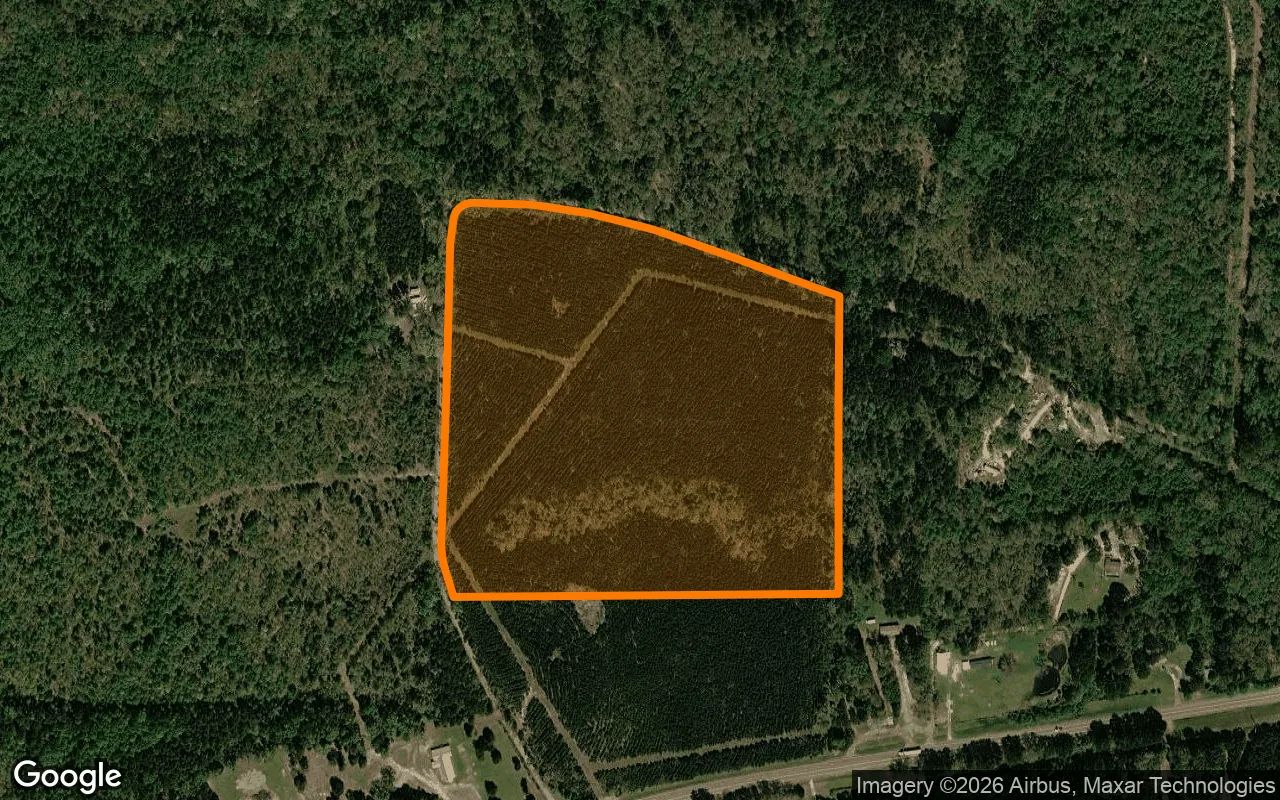 35 Acres in Cass - Cass County, TX in Cass County, TX