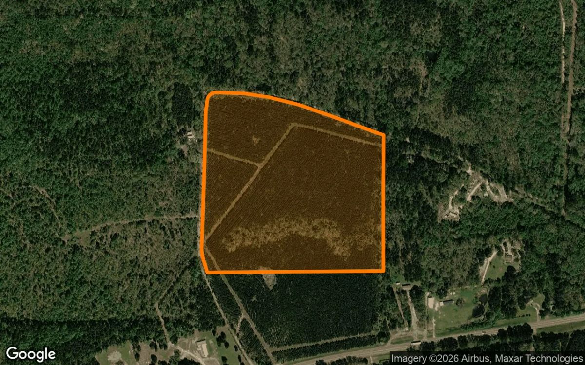 35 Acres in Cass - Cass County, TX - Main image