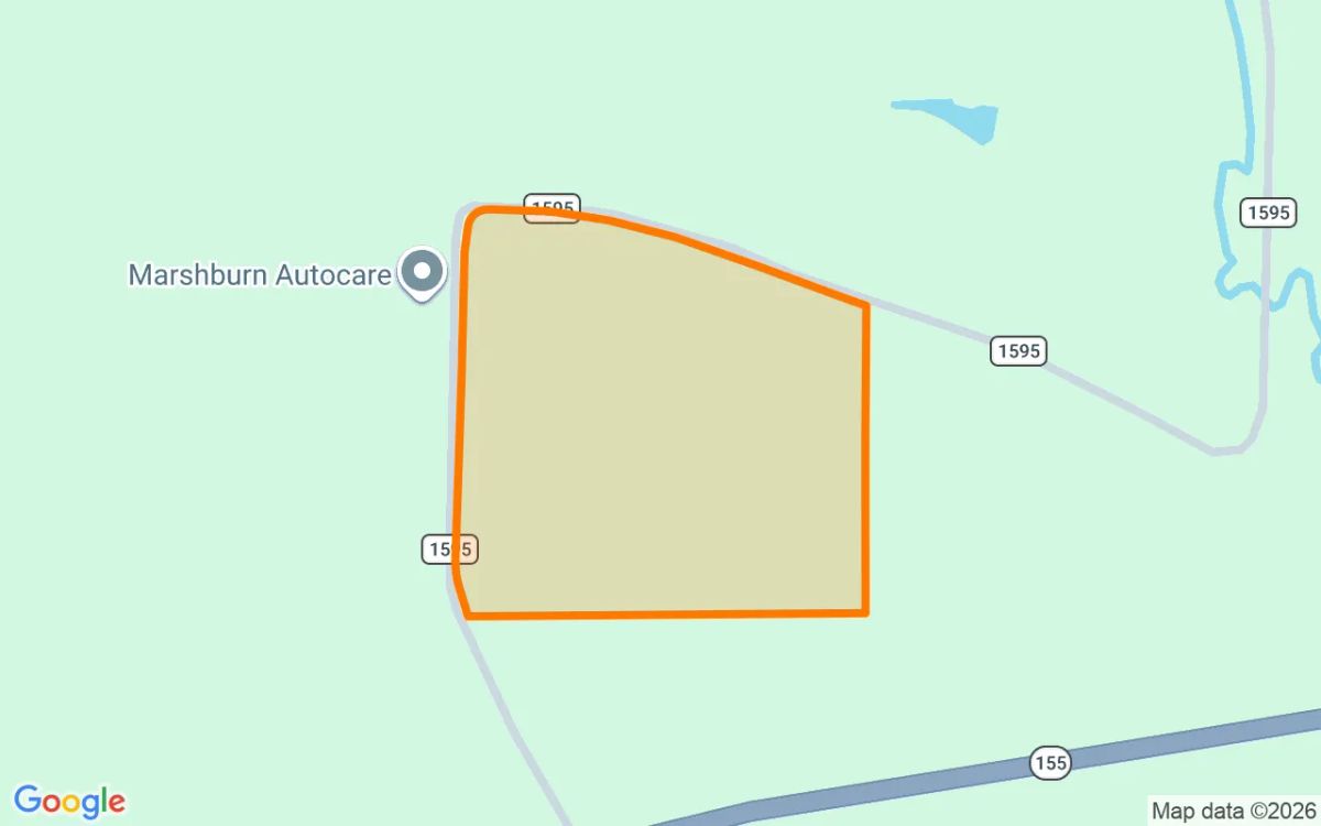 35 Acres in Cass - Cass County, TX - Image 2