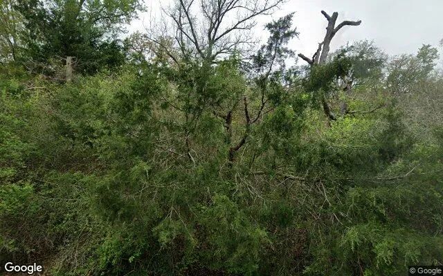 0.55 Acres in Somerville - Burleson County, TX in Burleson County, TX
