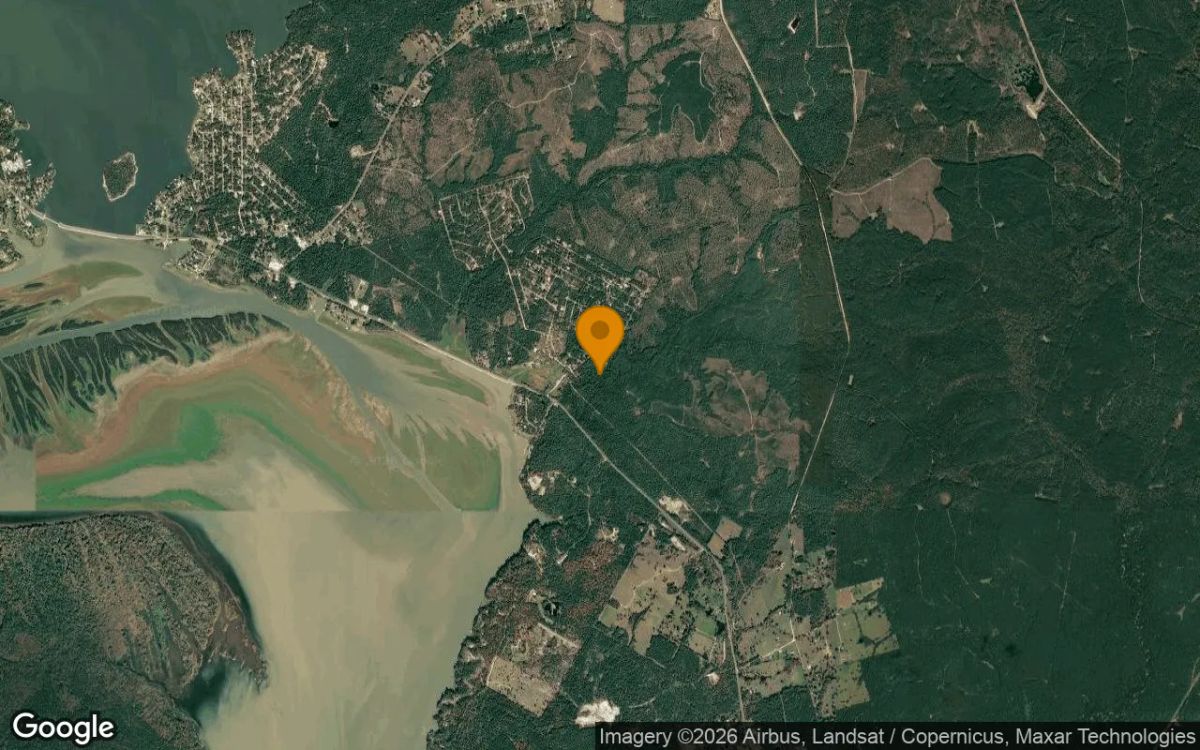 0.55 Acres in Trinity - Trinity County, TX - Image 3