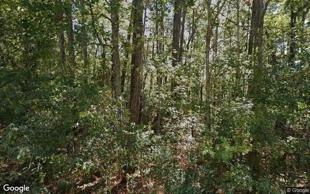 0.55 Acres in Trinity - Trinity County, TX - Image 4
