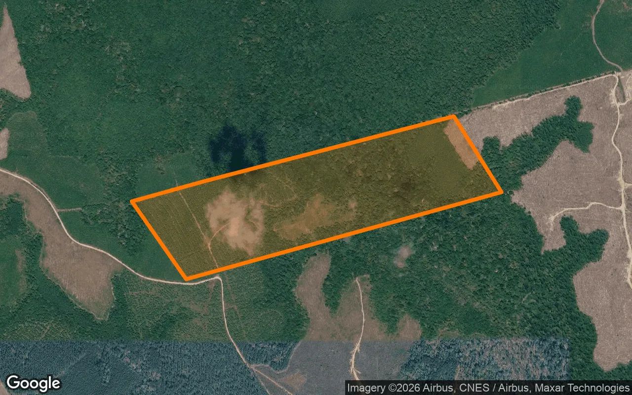 123.24 Acres in Newton - Newton County, TX in Newton County, TX