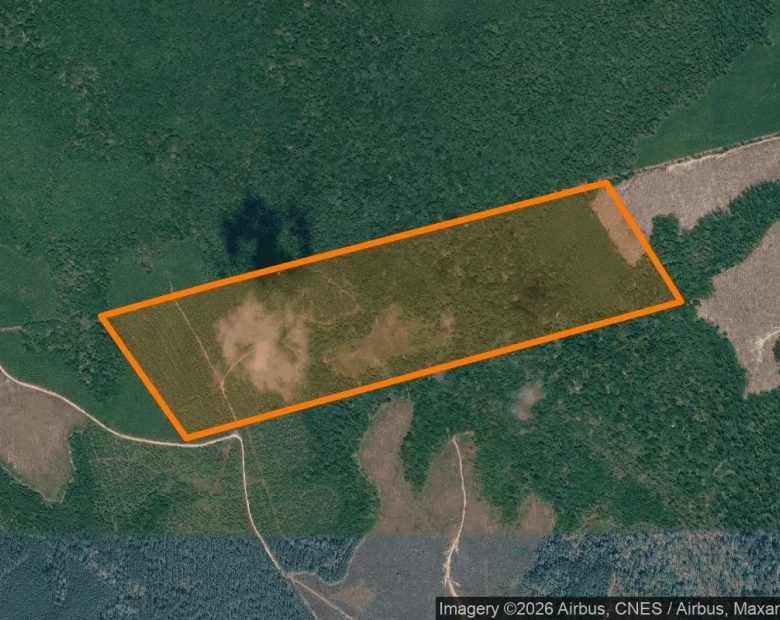 123.24 Acres in Newton - Newton County, TX in Newton County, TX