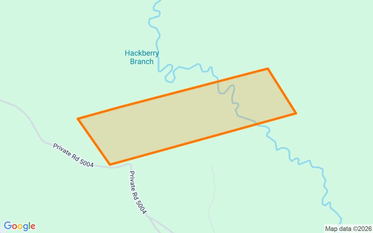 123.24 Acres in Newton - Newton County, TX - Image 2