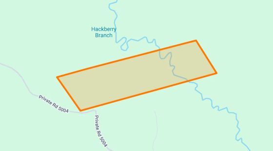 123.24 Acres in Newton - Newton County, TX in Newton County, TX