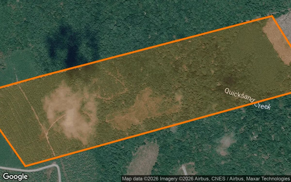 Decorative background for 123.24 Acres in Newton - Newton County, TX image 6