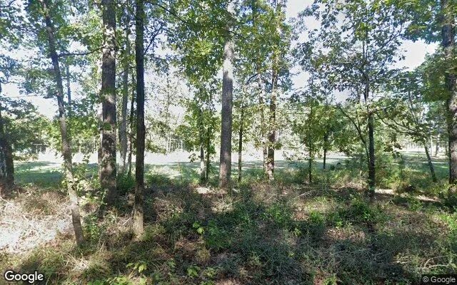 3.5 Acres in Angelina - Angelina County, TX - Image 4