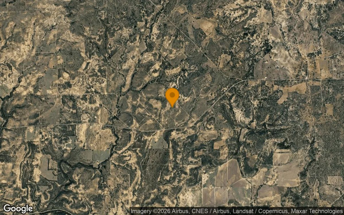 124.89 Acres in Mullin - Mills County, TX - Image 3