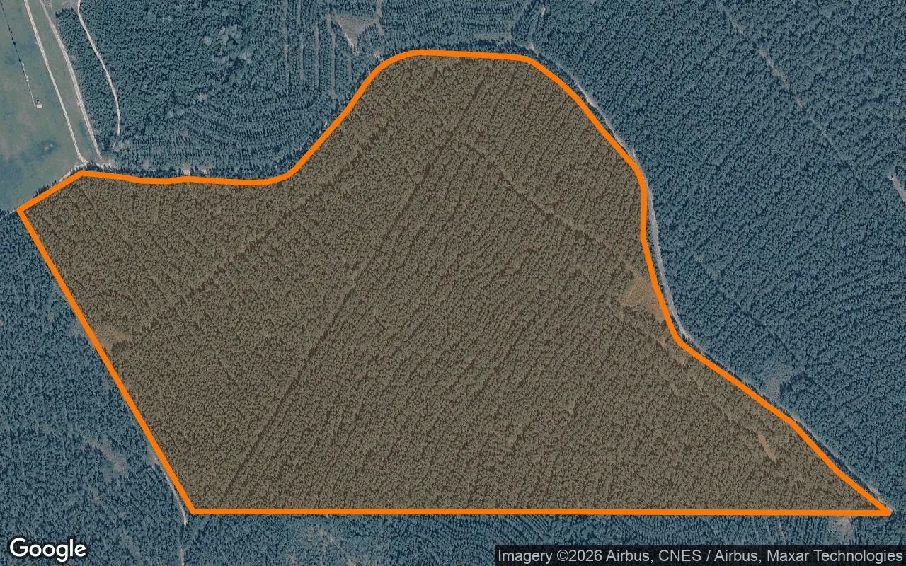 123.09 Acres in Newton - Newton County, TX in Newton County, TX