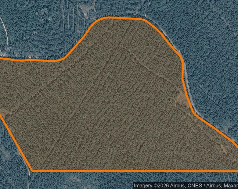 123.09 Acres in Newton - Newton County, TX in Newton County, TX
