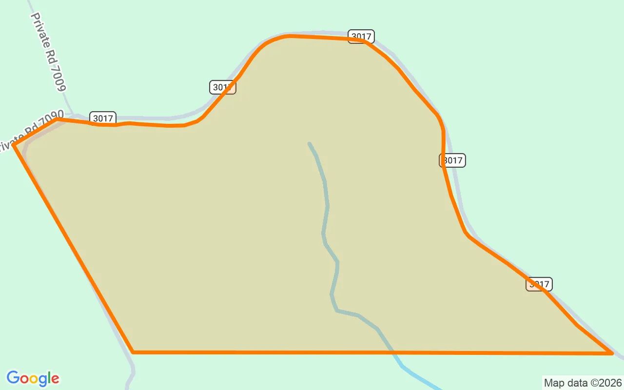 123.09 Acres in Newton - Newton County, TX in Newton County, TX