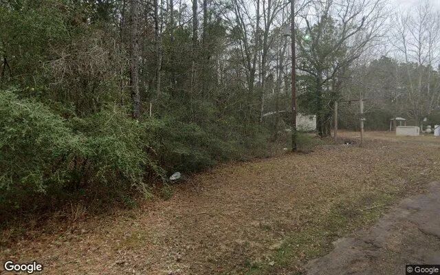 Decorative background for 123.09 Acres in Newton - Newton County, TX image 5