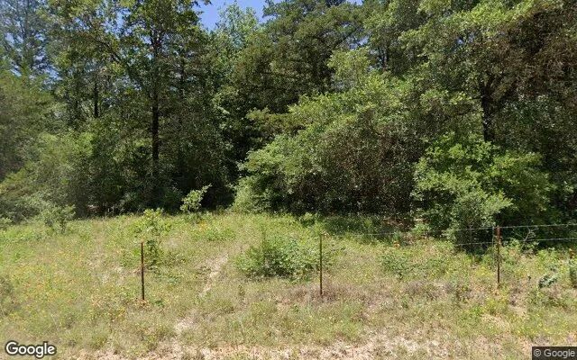 0.55 Acres in Sealy - Austin County, TX - Image 4