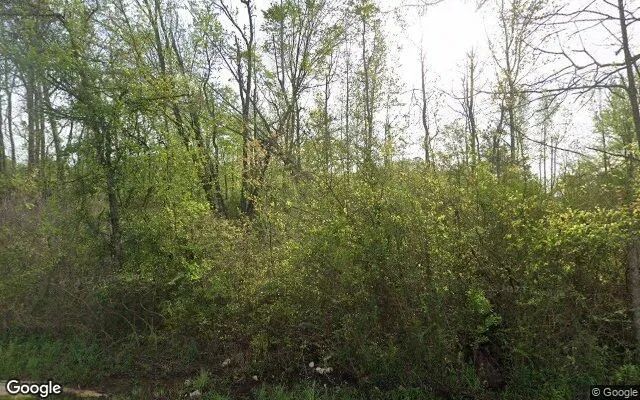 0.55 Acres in Cherokee - Cherokee County, TX in Cherokee County, TX