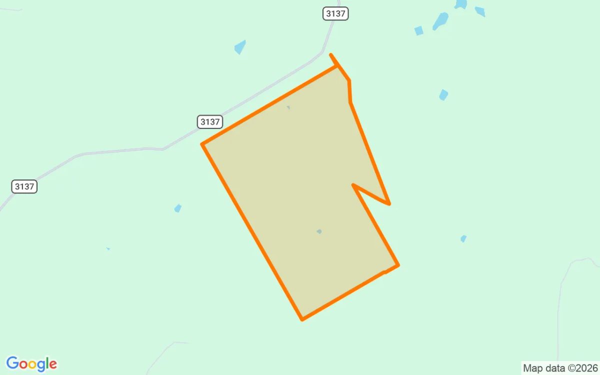 125.42 Acres in Valley Mills - Bosque County, TX - Image 2