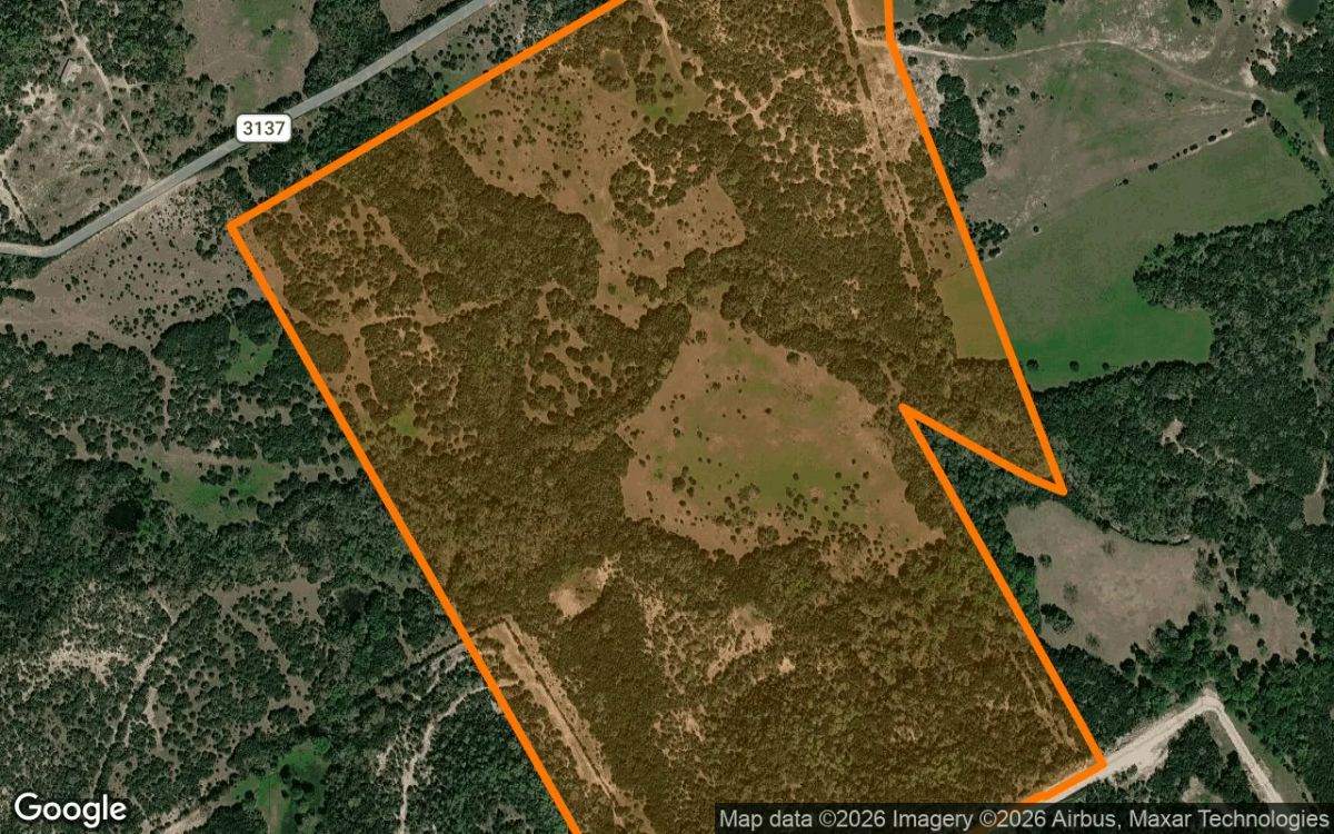 Decorative background for 125.42 Acres in Valley Mills - Bosque County, TX image 6