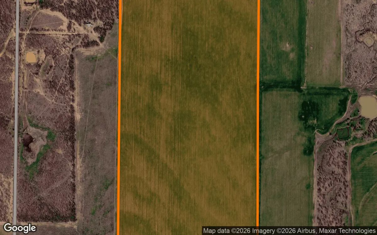 Decorative background for 124.99 Acres in Rule - Haskell County, TX image 6
