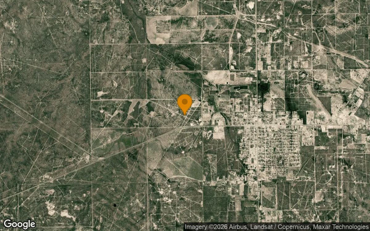 125.5 Acres in Freer - Duval County, TX - Image 3