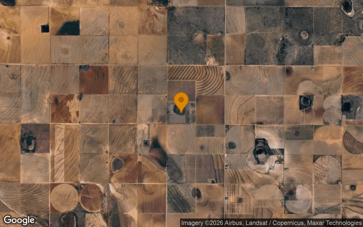 124.82 Acres in New Home - Lynn County, TX - Image 3