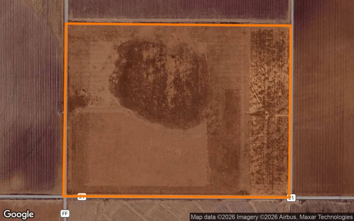 Decorative background for 124.82 Acres in New Home - Lynn County, TX image 6