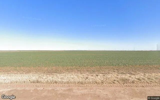 116.18 Acres in Lamb - Lamb County, TX - Image 4