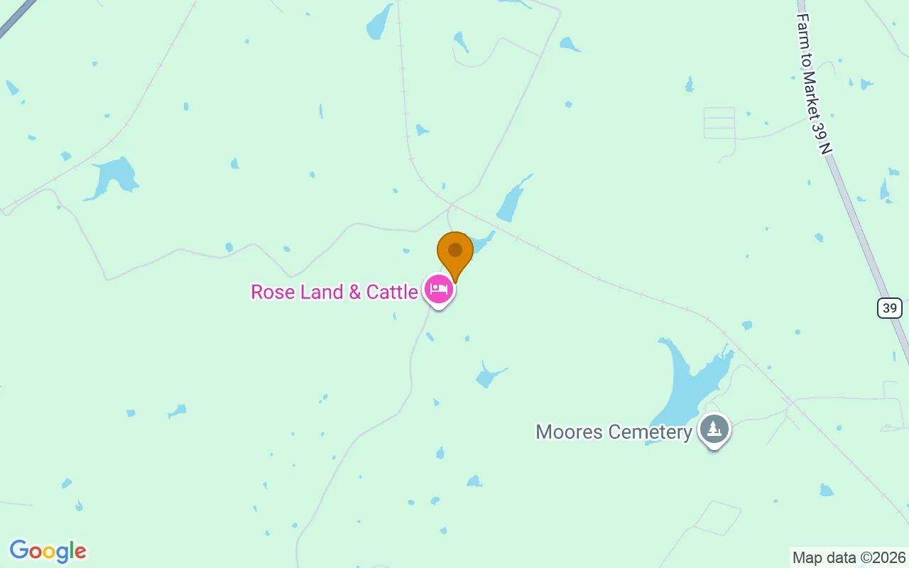 15.01 Acres in Jewett - Leon County, TX in Leon County, TX