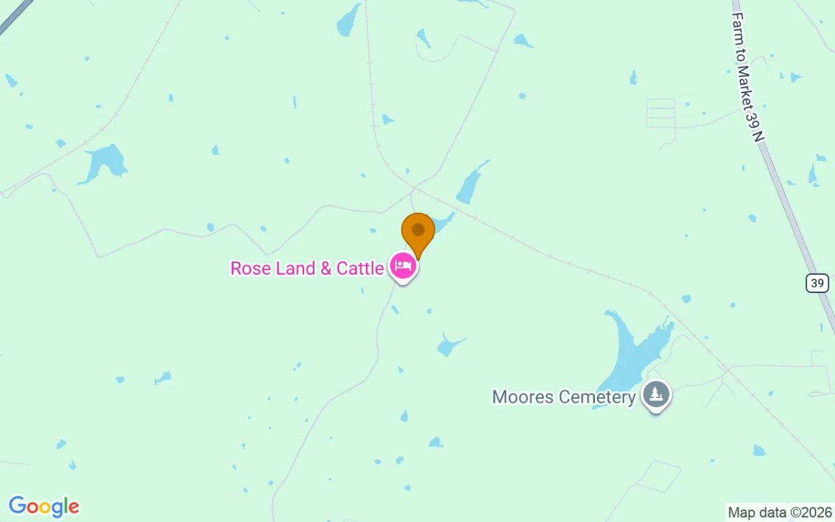 15.01 Acres in Jewett - Leon County, TX - Image 4