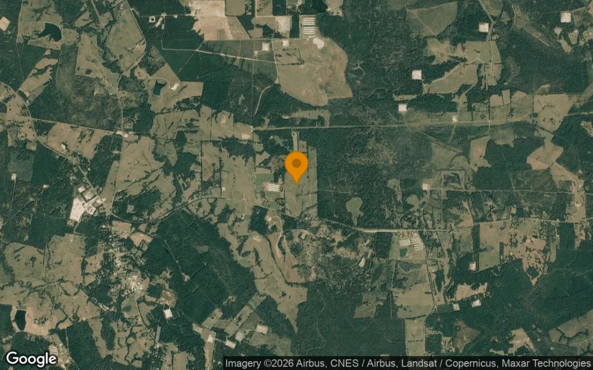 74.94 Acres in Chireno - Nacogdoches County, TX - Image 3
