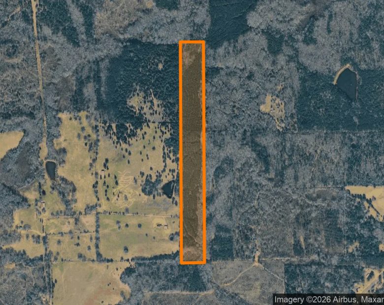 34.94 Acres in Jefferson - Marion County, TX in Marion County, TX