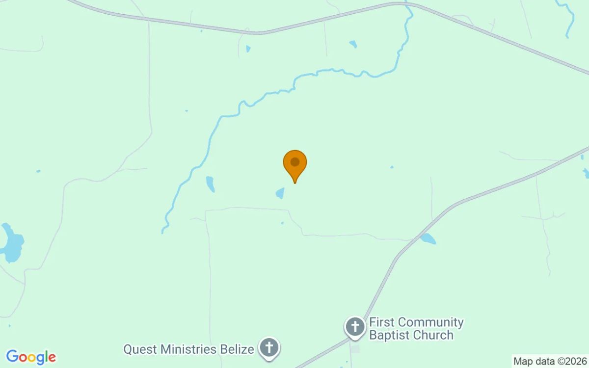 34.94 Acres in Jefferson - Marion County, TX - Image 4
