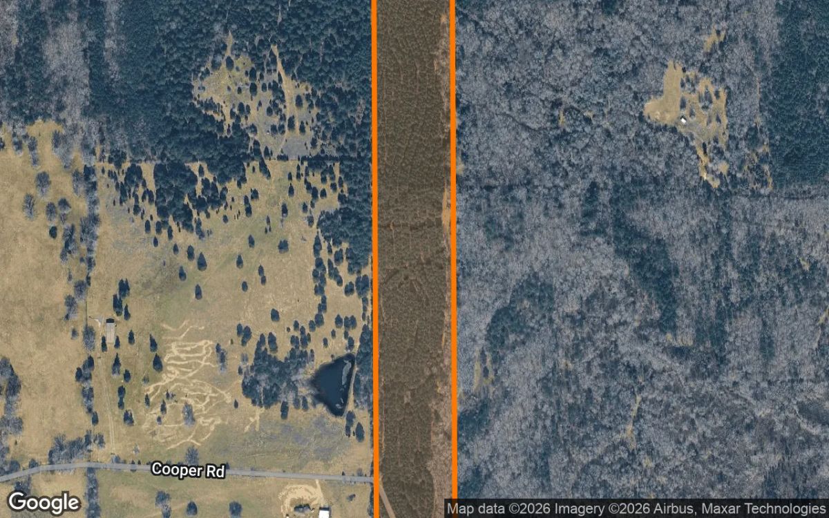 Decorative background for 34.94 Acres in Jefferson - Marion County, TX image 6