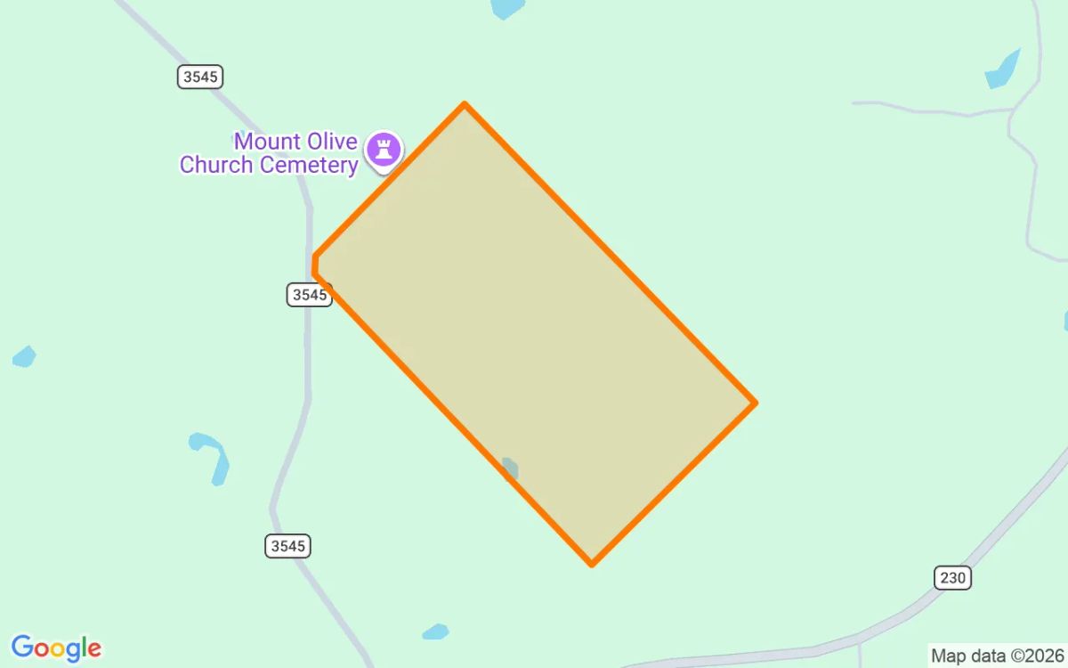 34.99 Acres in Lovelady - Houston County, TX - Image 2