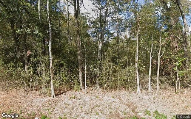 34.99 Acres in Lovelady - Houston County, TX - Image 4