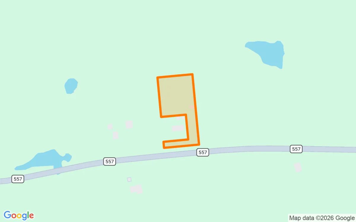 1.5 Acres in Pittsburg - Camp County, TX - Image 2
