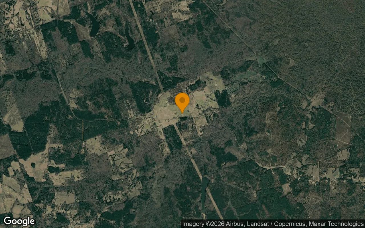1.5 Acres in Pittsburg - Camp County, TX in Camp County, TX