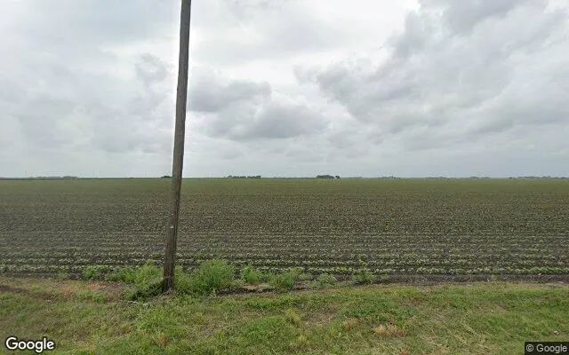 124.82 Acres in Wharton - Wharton County, TX - Image 4