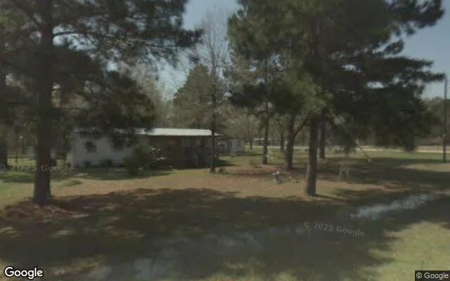 Decorative background for 0.55 Acres in Livingston - Polk County, TX image 6