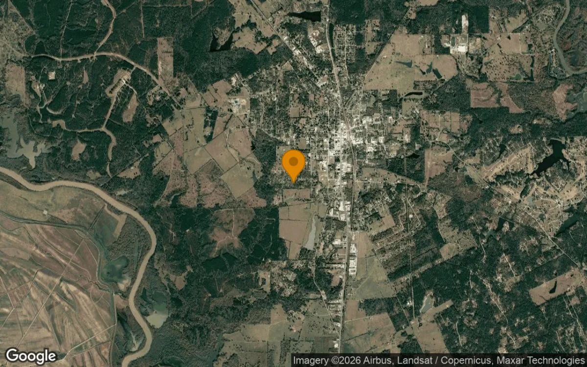 0.55 Acres in Trinity - Trinity County, TX - Image 3