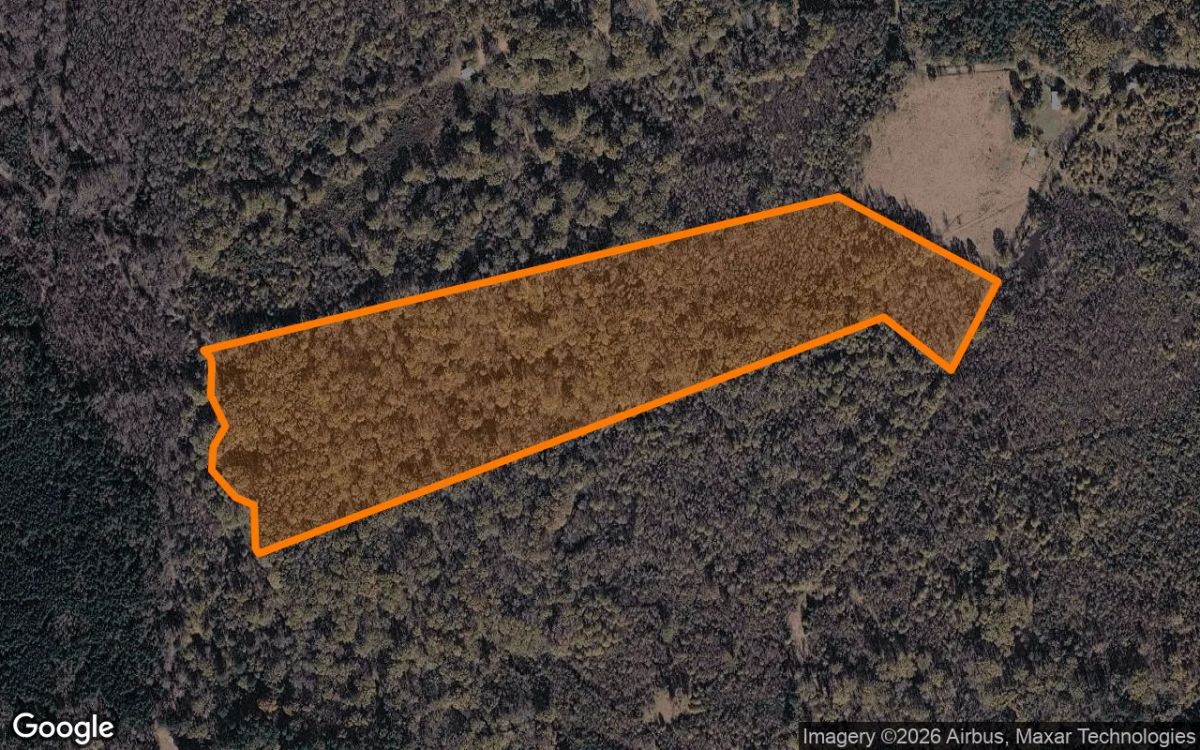 35.03 Acres in Daingerfield - Morris County, TX - Main image