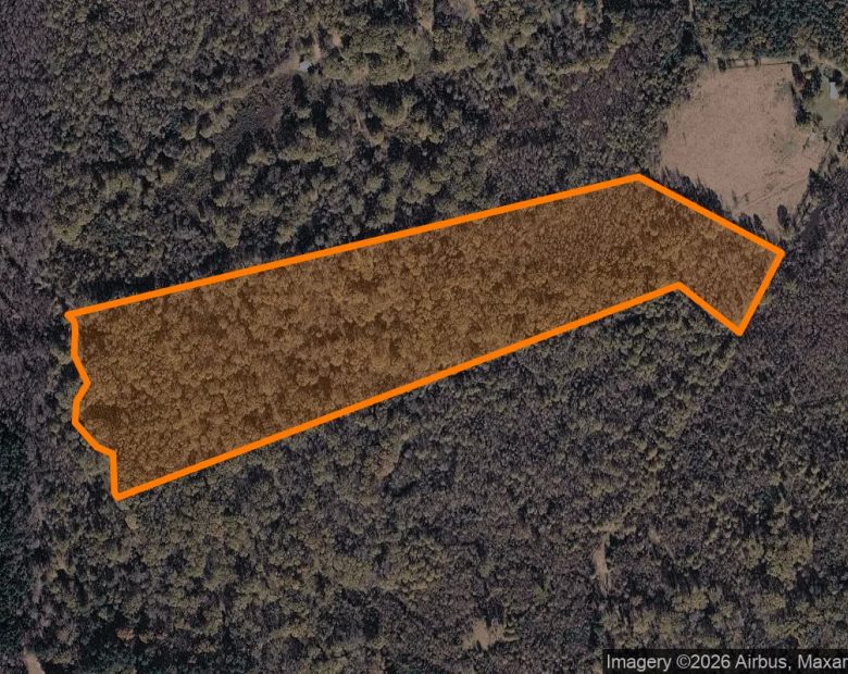 35.03 Acres in Daingerfield - Morris County, TX in Morris County, TX