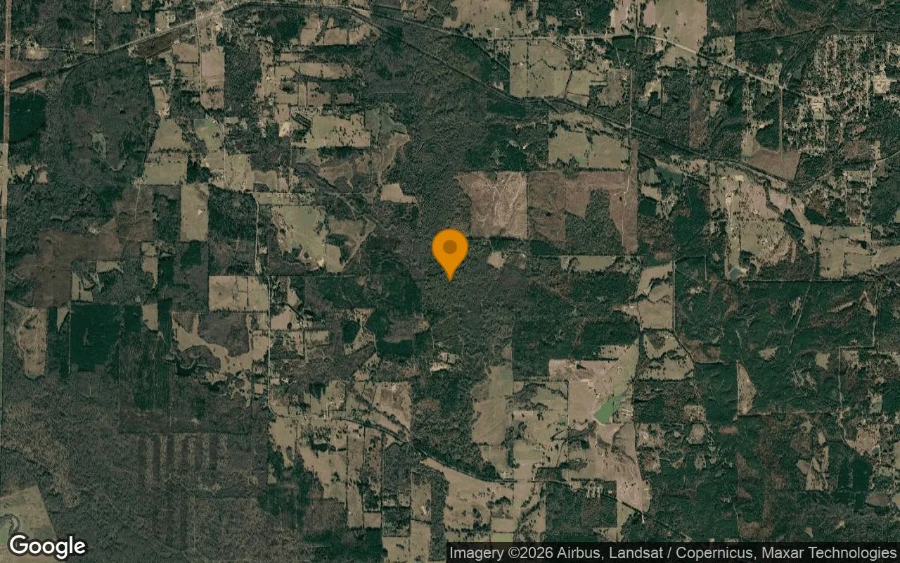 35.03 Acres in Daingerfield - Morris County, TX in Morris County, TX