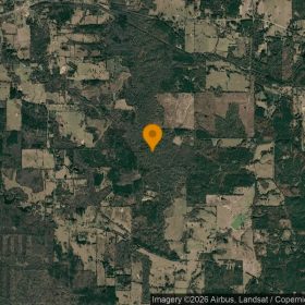 35.03 Acres in Daingerfield - Morris County, TX in Morris County, TX